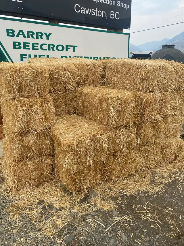 Large / small Wheat Straw Bales in Livestock in Penticton - Image 5