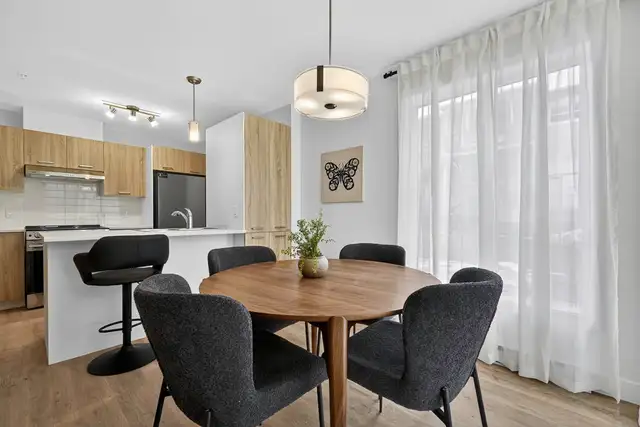 Nouveau appartements À LOUER à Lévis – Studio in Long Term Rentals in Lévis - Image 5