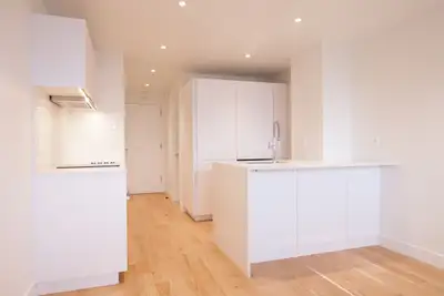 Renovated Studio near McGill - ID 939