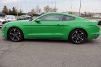 NO ACCIDENT Unleash the thrill of the open road with the 2019 Mustang Ecoboost Coupe. With its bold... (image 3)