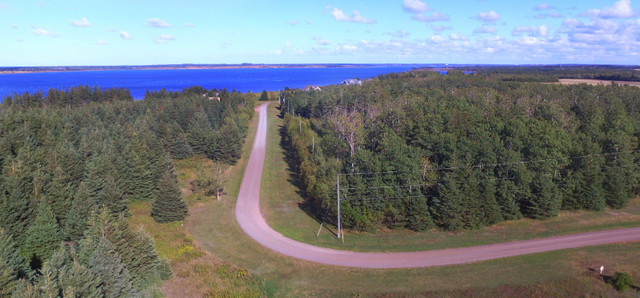 REDUCED $10,000  1 Acre Level Treed  Lot in Morell. in Land for Sale in Charlottetown - Image 4