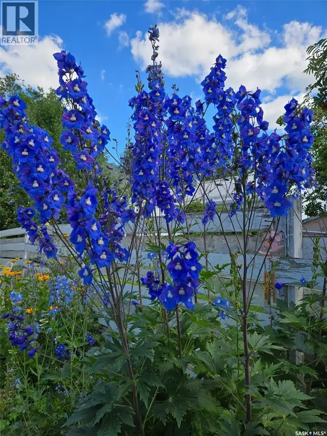 607 K AVENUE N Saskatoon, Saskatchewan in Houses for Sale in Saskatoon - Image 19