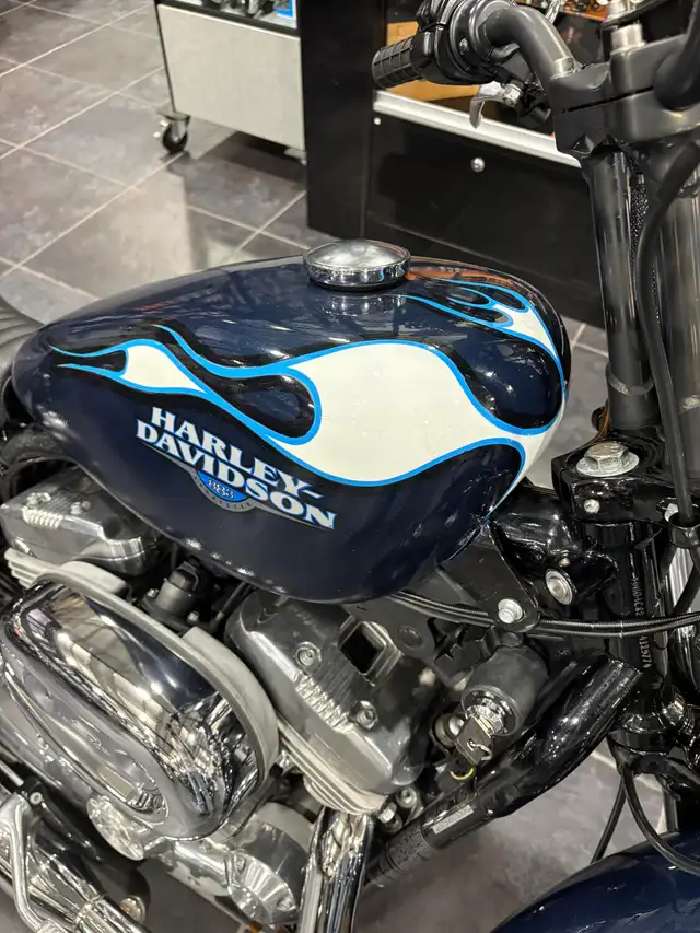 2009 Harley-Davidson Sportster 883 Low in Sport Bikes in Sudbury - Image 17