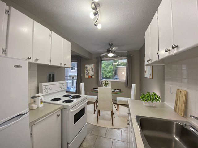 Oliver Apartment For Rent | McCam 2 Apartments in Long Term Rentals in Edmonton - Image 3