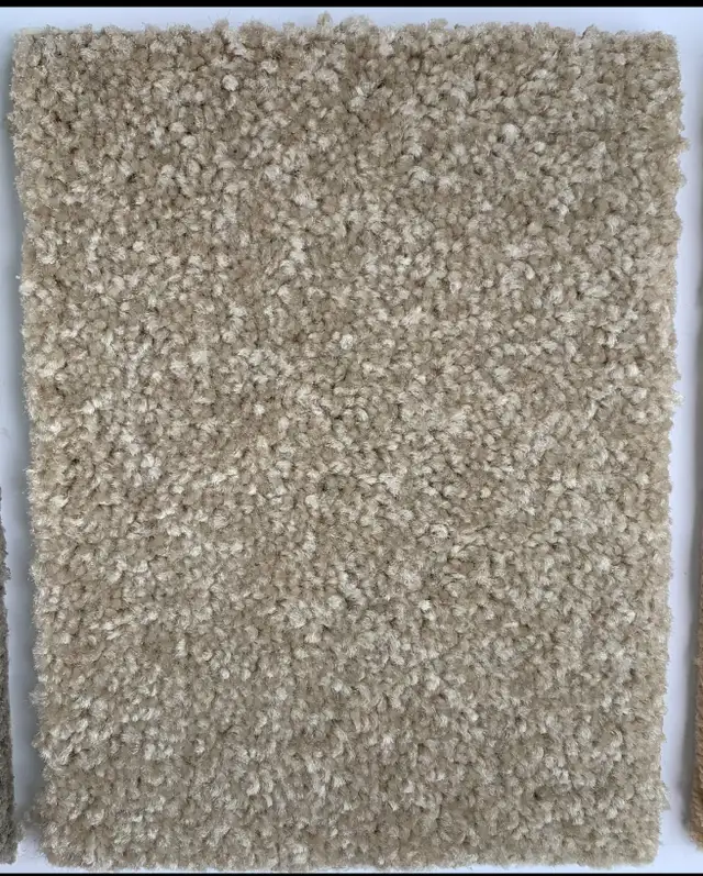 45oz Carpet with Pad & Installation 3.79$/sqft62863733034369126