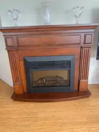 Foyer electrique en bois/Wood electric fireplace