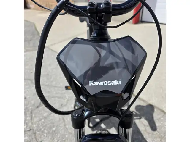2025 Kawasaki Elektrode 20 in Dirt Bikes & Motocross in Brantford - Image 19