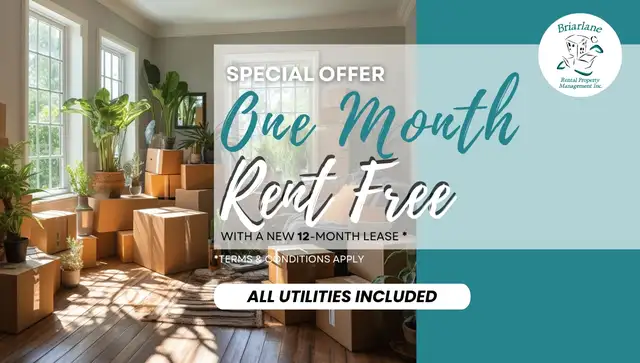 1 Bedroom Apartment for Rent - All Apartment Utilities Included in Long Term Rentals in London - Image 2