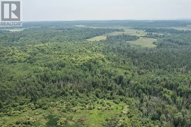 447 McPhail RD Bruce Mines, Ontario in Land for Sale in Sault Ste. Marie - Image 38