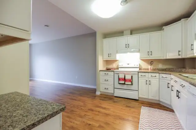 Luxury 1 Bedroom Apartment in Exeter in Long Term Rentals in London - Image 7