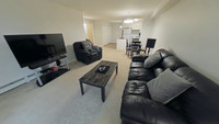 Beautiful One Bedroom Fully Furnished Apartment - All Util. Inc.