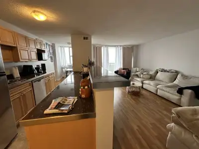 BIG 1 Bdrm Apartment Across from Dalhousie Available Sept 1st!
