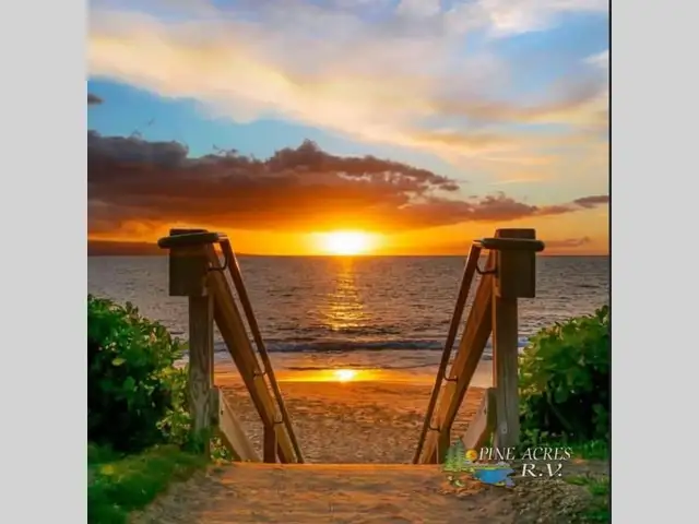 2019 Forest River RV Salem 32BHDS Bunk Room & 2 Slides in Travel Trailers & Campers in Moncton - Image 65