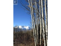 9410 ADAMS ROAD Smithers, British Columbia Smithers Skeena-Bulkley Area Preview