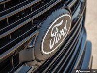 BlueCruise, Sunroof, Power Running Boards, HUD, B&O Audio, Cooled Seats, Remote Start, Adaptive Crui... (image 9)