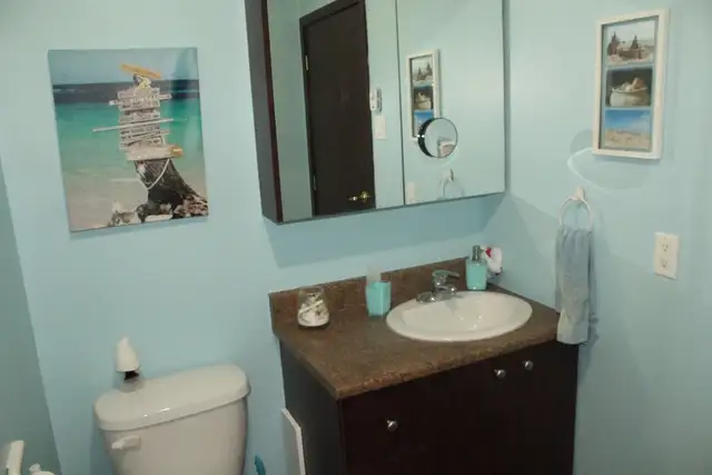 Appartement Boulevard Mauricien 1 mai 2025 in Long Term Rentals in Trois-Rivières - Image 6