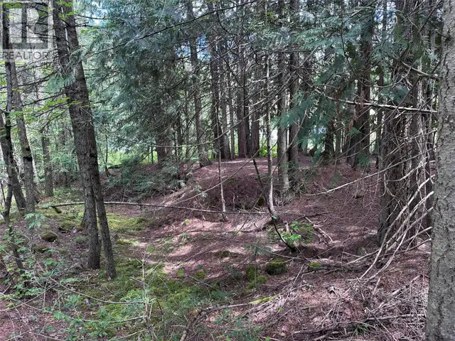 611 Slocan Street Slocan, British Columbia in Land for Sale in Nelson - Image 13