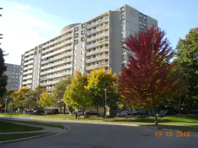 Large Room to Rent in Furnished Apartment/Fitness Centre & Pool. Available August 1, 2025 - July 31,...