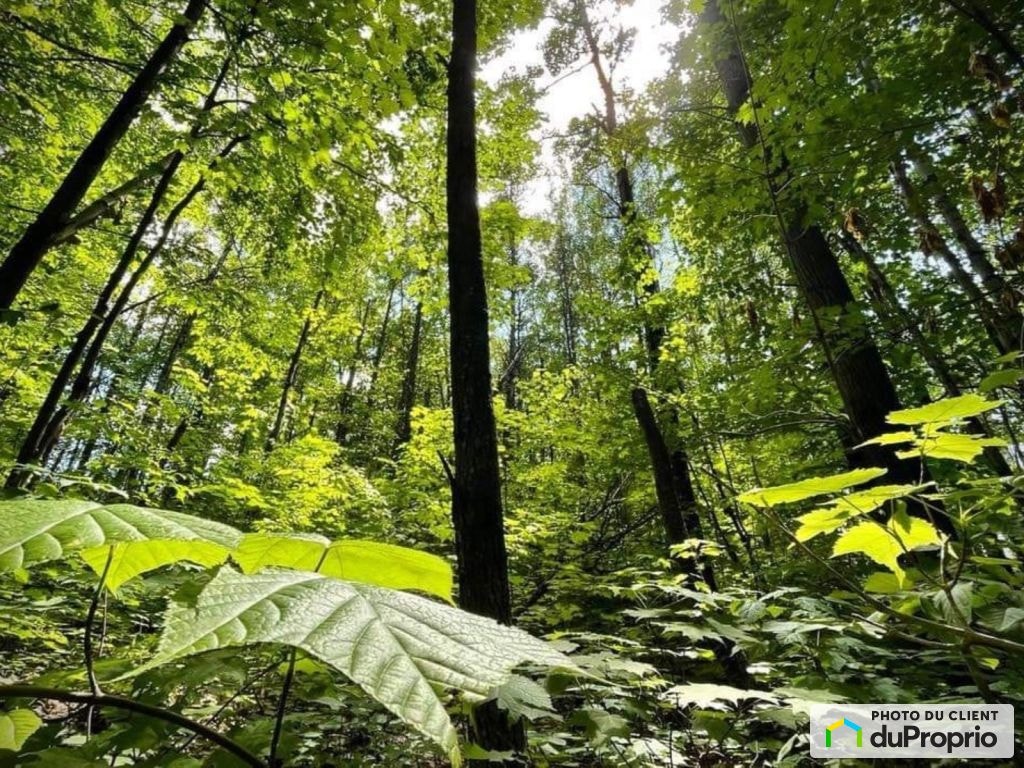 $147,500 - Residential Lot in Shawinigan (Lac-A-La-Tortue) — photo 3