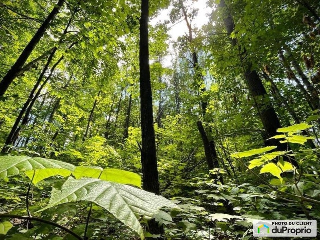 $147,500 - Residential Lot in Shawinigan (Lac-A-La-Tortue) — photo 3