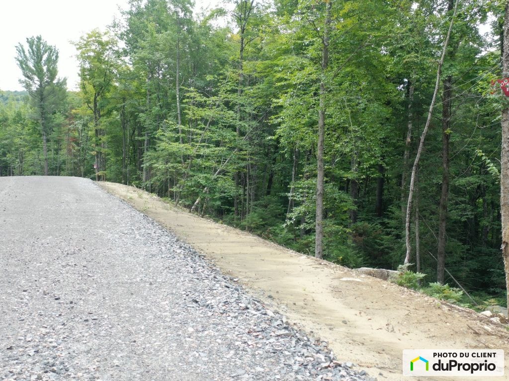 $65,900 - Residential Lot for sale in Chertsey — photo 2