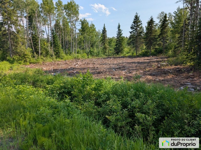 $35,000 - Residential Lot for sale in St-Jean-De-Dieu — photo 1