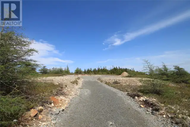 14 Rhodies Pond Grove Placentia Junction, Newfoundland & Labrado in Land for Sale in St. John's - Image 7