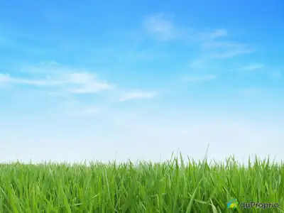 Terrain de 1100 pi2. Zonage: commercial ou résidentiel. Bien situé, près de tous les services. Le se...