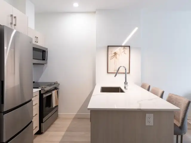 NOW LEASING SEPTEMBER 2026 | NEW 1 BEDROOM APT ON SPRING GARDEN in Long Term Rentals in City of Halifax - Image 8