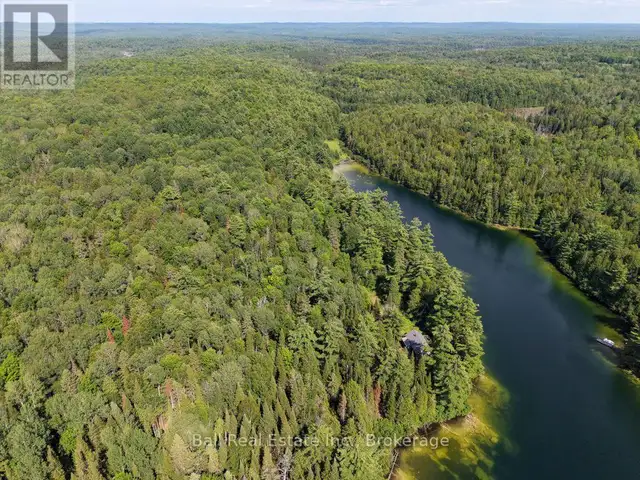 382 OLD DETLOR ROAD Bancroft (Dungannon Ward), Ontario in Land for Sale in Trenton - Image 4