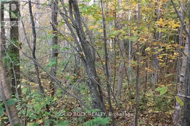 2209 JOCHEM ROAD Edwardsburgh/Cardinal, Ontario in Land for Sale in Woodstock - Image 12