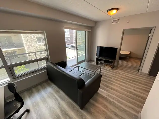 SHORT TERM RENTAL - Luxury Spacious & Furnished Student/Young Pr in Long Term Rentals in Kitchener / Waterloo - Image 8