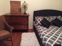 Cozy Furnished Room with Private patio garden & Storage shed