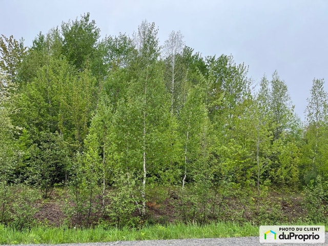 $105,000 - Residential Lot for sale in ND-Du-Mont-Carmel — photo 2