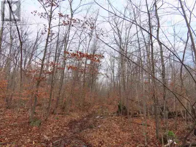 100 Acre Hardwood Lot in Hilton Township Access from Q and R Line Township Road Allowance. Mixed har...