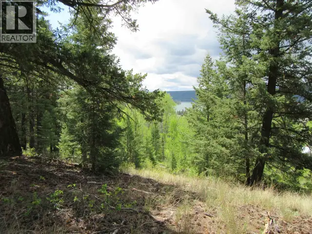 DL 2808 DONOVAN ROAD Lac La Hache, British Columbia in Land for Sale in 100 Mile House - Image 4