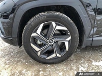 BLACK, LEATHER SEAT TRIM, ASH BLACK, Wireless Phone Connectivity, Wheels: 19 x 7.5J Aluminum, Wheels... (image 9)