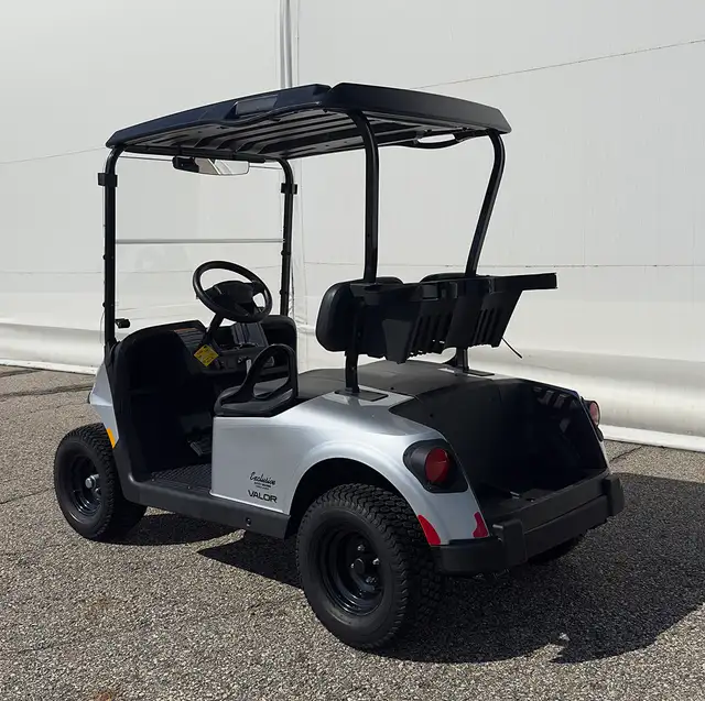 2026 E-Z-GO RXV 2 Valor S EX1-Platinum golf carts in ATVs in Vernon - Image 4