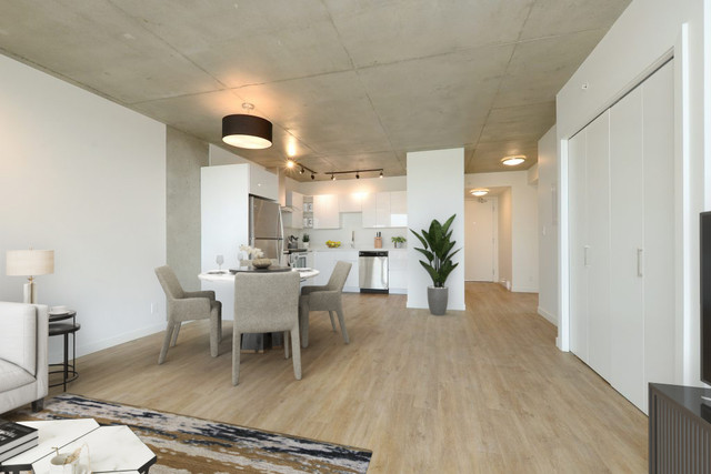 2 Bedroom -  1MFR | Pandora Ave.& Cook Street - Victoria, BC in Long Term Rentals in Victoria - Image 4