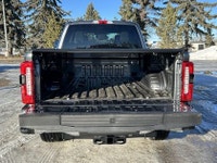 2026 Ford F-350 AMVIC Licensed Engine: 8 Cylinder Engine 6.7L Safety Equipment ABS And Driveline Tra... (image 4)