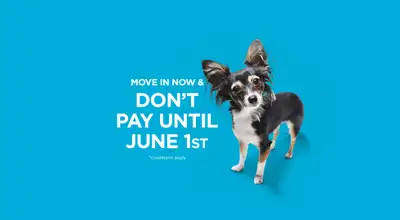 Broadstreet's Henderson Meadows offers 1, 2, and 3 bedroom pet friendly apartments for rent in the c...