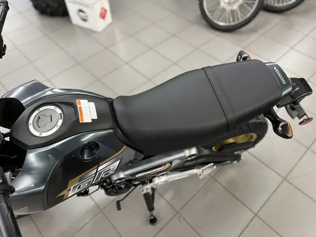 2024 Honda MSX125 Grom in Street, Cruisers & Choppers in Kitchener / Waterloo - Image 17