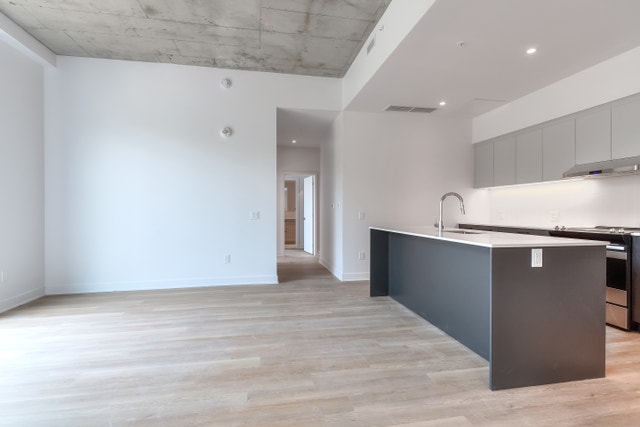 605 rue Fullum — photo 1