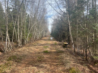 Lyster (Centre-du-Québec) : Terre à bois 137 acres pour chasse