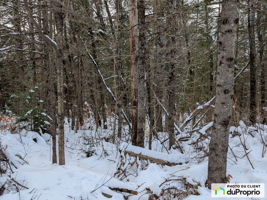 $100,000 - Residential Lot for sale in Ste-Beatrix — photo 1