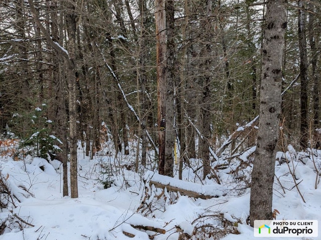 $100,000 - Residential Lot for sale in Ste-Beatrix — photo 1