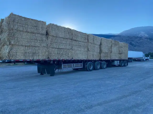 Large / small Wheat Straw Bales in Livestock in Penticton - Image 2