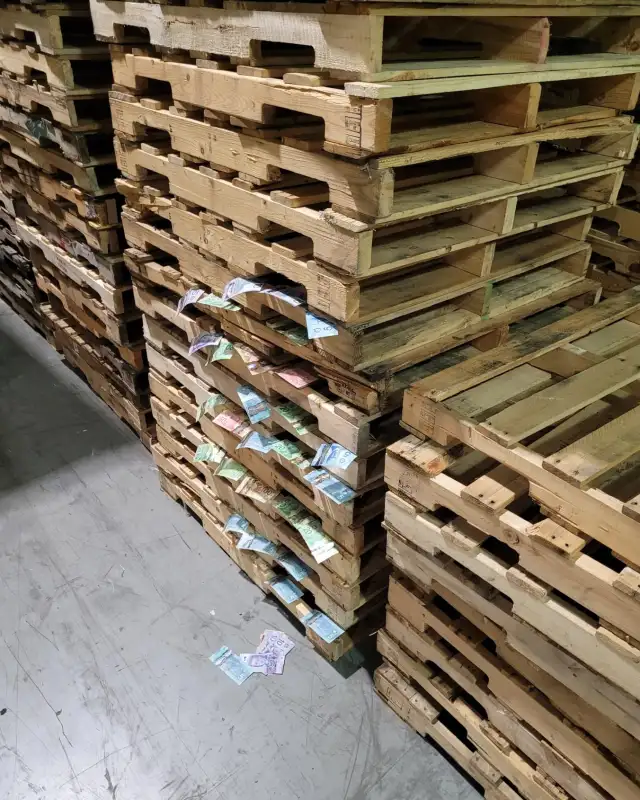 PLASTIC and WOOD pallets for sale IN STOCK dry - NO MINIMUM in Other in Mississauga / Peel Region - Image 2
