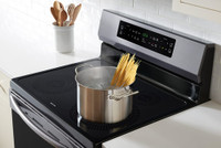 INDUCTION RANGES & COOKTOPS - BRAND NEW!