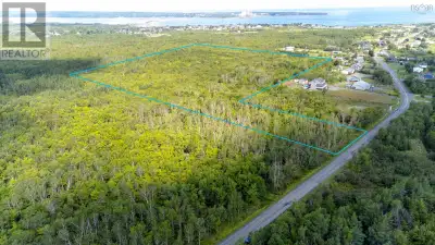 Introducing Lot 9 and 10 Neville Street with over 14 acres of land! Years ago, this prime piece of r...